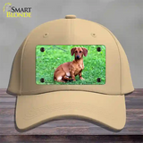 Dachshund Dog Novelty License Plate Hat Cotton / Khaki