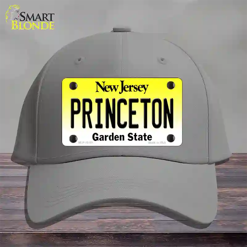 Princeton New Jersey Novelty License Plate Hat Cotton / Gray