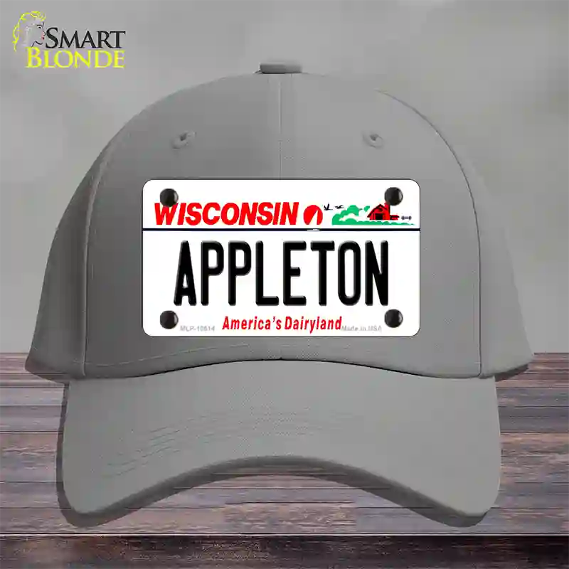 Appleton Wisconsin Novelty License Plate Hat Cotton / Gray