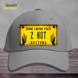 Arizona 2 Hot Novelty License Plate Hat Cotton / Gray