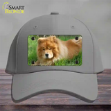 Chow Chow Dog Novelty License Plate Hat Cotton / Gray