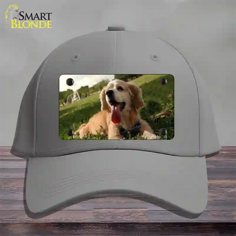 Cocker Spaniel Dog Novelty License Plate Hat Cotton / Gray