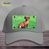 Dachshund Dog Novelty License Plate Hat Cotton / Gray