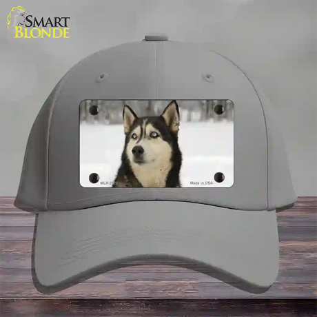 Husky Dog Novelty License Plate Hat Cotton / Gray