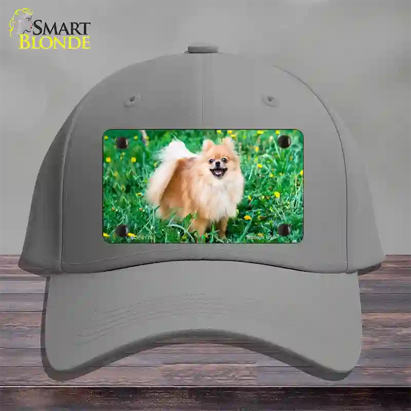 Pomeranian Dog Novelty License Plate Hat Cotton / Gray