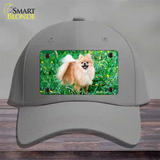 Pomeranian Dog Novelty License Plate Hat Cotton / Gray