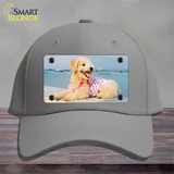 Poodle Dog Novelty License Plate Hat Cotton / Gray