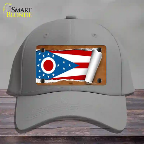 Ohio Flag Scroll Novelty License Plate Hat Cotton / Gray