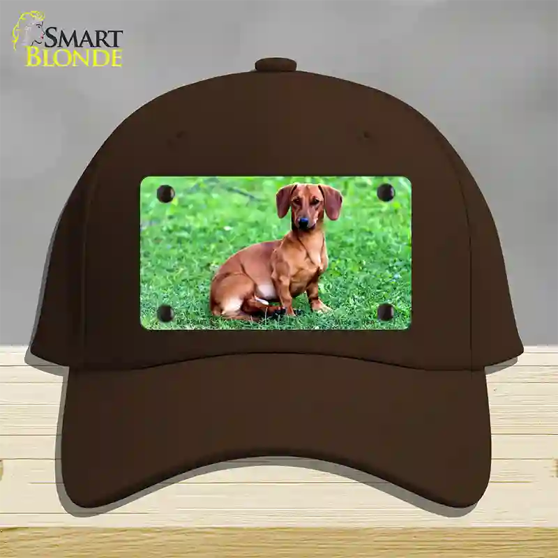 Dachshund Dog Novelty License Plate Hat Cotton / Dark Brown