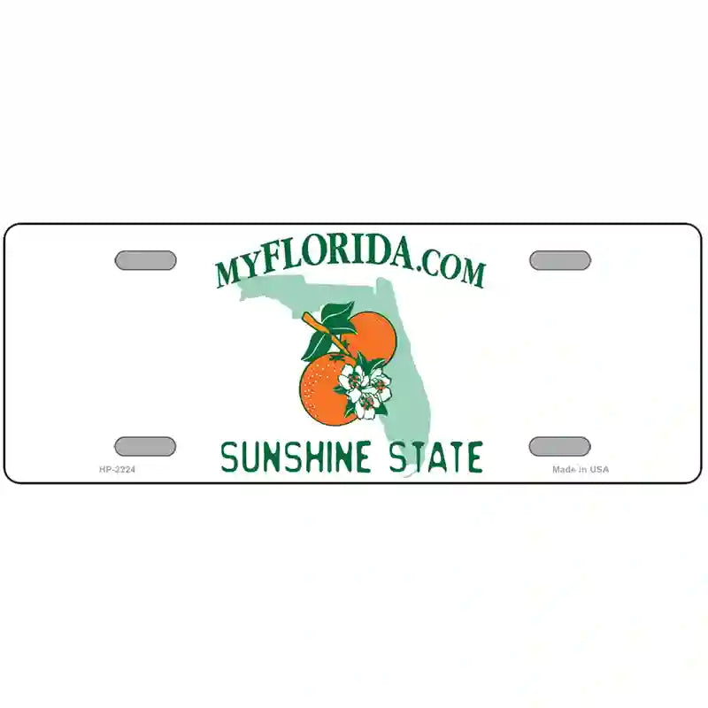 Florida State Blank Novelty Metal License Plate