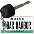 Bar Harbor Maine State License Plate Tag Key Chain KC-10390