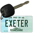 Exeter New Hampshire State License Plate Tag Key Chain KC-11143