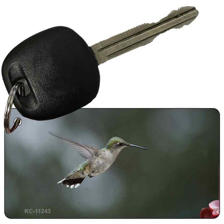 Hummingbird In Flight Novelty Aluminum Key Chain KC-11243