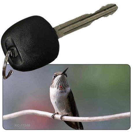 Hummingbird Perched On Branch Novelty Aluminum Key Chain KC-11246