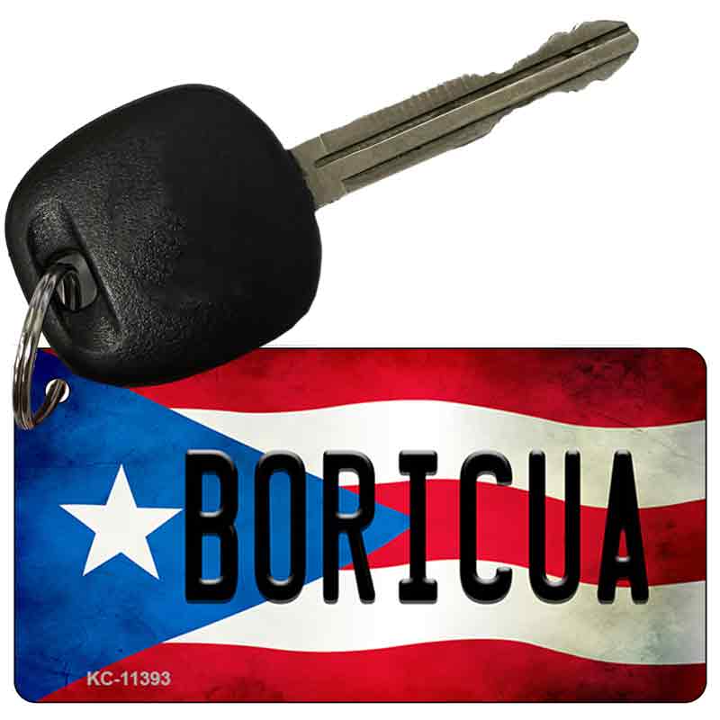 Boricua Puerto Rico State Flag Novelty Metal Key Chain KC-11393