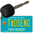 Taoseno Teal New Mexico Novelty Metal Key Chain KC-11651