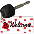 Welcome Ladybug Novelty Metal Key Chain KC-11726