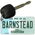 Barnstead New Hampshire State Novelty Metal Key Chain KC-12081