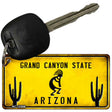 Arizona Kokopelli Novelty Metal Key Chain KC-12308