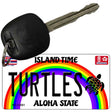 Turtles Novelty Metal Key Chain KC-12581