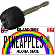 Pineapples Novelty Metal Key Chain KC-12588