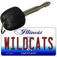 Wildcats Novelty Metal Key Chain KC-12748