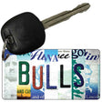 Bulls Strip Art Novelty Metal Key Chain KC-13214