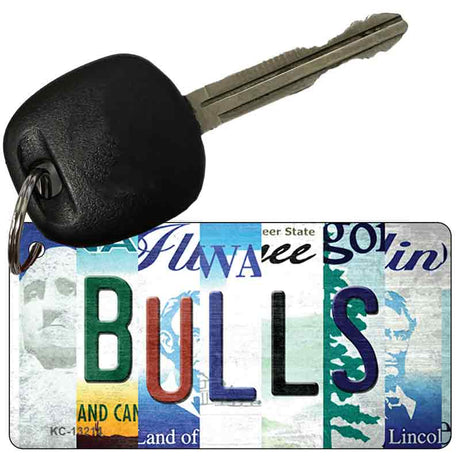 Bulls Strip Art Novelty Metal Key Chain KC-13214