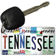 Tennessee Strip Art Novelty Metal Key Chain KC-13298