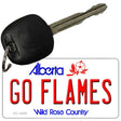 Go Flames Novelty Metal Key Chain KC-13555