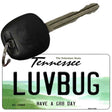 Love Bug Novelty Metal Key Chain KC-13645