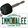 Immokalee Florida Novelty Metal Key Chain