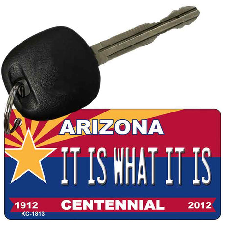 It Is What It Is Arizona Centennial State License Plate Tag Key Chain KC-1813