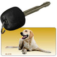 Golden Retriever Novelty Metal Key Chain KC-2170