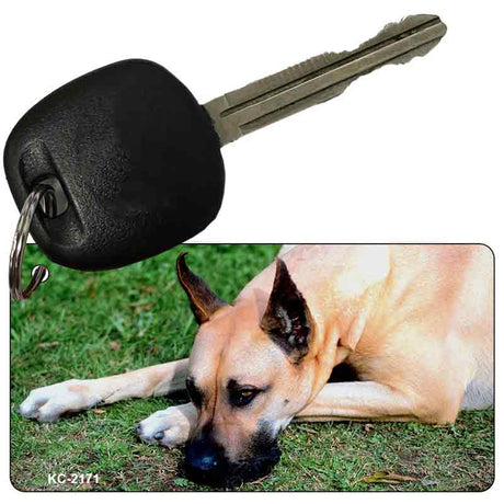 Great Dane Novelty Metal Key Chain KC-2171