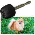 Pomeranian Novelty Metal Key Chain KC-2175