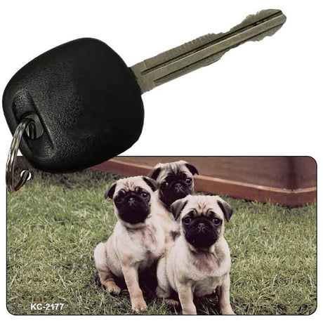 Pug Novelty Metal Key Chain KC-2177