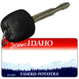 Idaho State Blank Novelty Metal Key Chain KC-2227