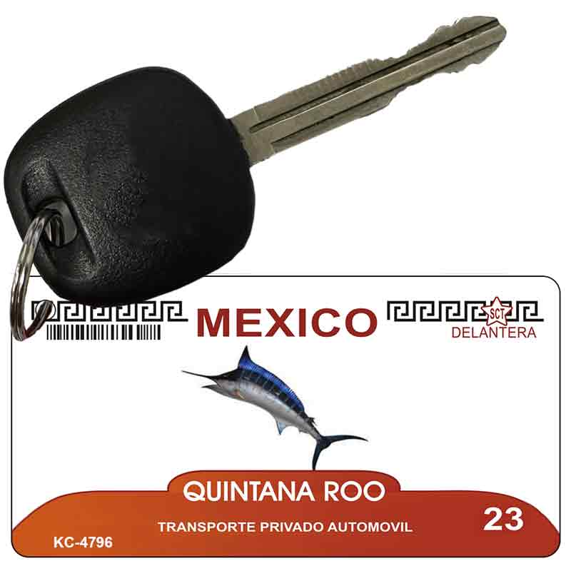 Quintana Roo Mexico Blank Novelty Metal Key Chain KC-4796