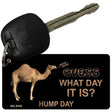 Hump Day Novelty Aluminum Key Chain KC-5141