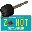 2 Hot Teal New Mexico Novelty Metal Key Chain KC-6676