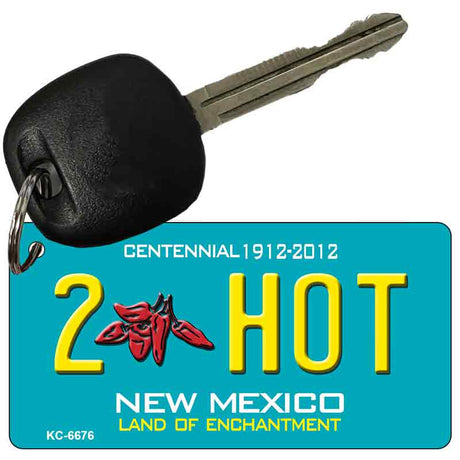 2 Hot Teal New Mexico Novelty Metal Key Chain KC-6676