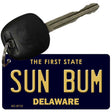 Sun Bum Delaware State License Plate Tag Key Chain KC-6712