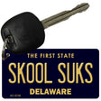 Skool Suks Delaware State License Plate Tag Key Chain KC-6738