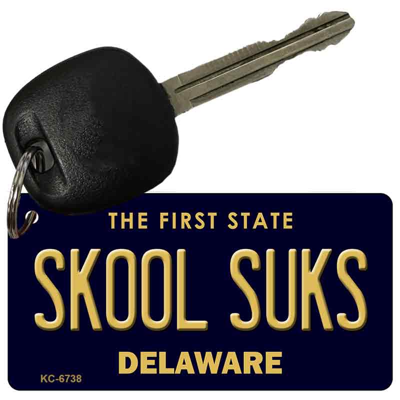 Skool Suks Delaware State License Plate Tag Key Chain KC-6738