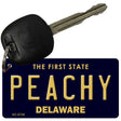 Peachy Delaware State License Plate Tag Key Chain KC-6740