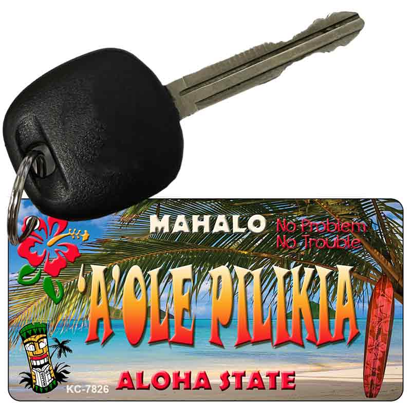 A'ole Pilikia Tiki Novelty Metal Key Chain KC-7826