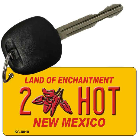 2 Hot Yellow New Mexico Novelty Metal Key Chain KC-8010