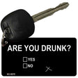 Are You Drunk Novelty Aluminum Key Chain KC-8275