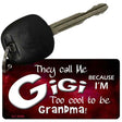 They Call Me Gigi Novelty Aluminum Key Chain KC-8296